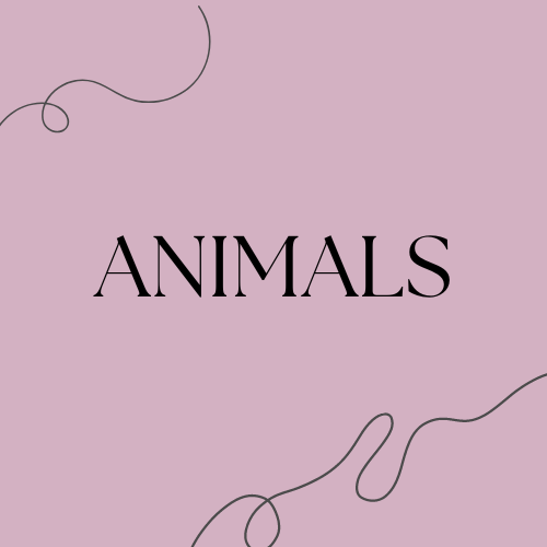 Animals